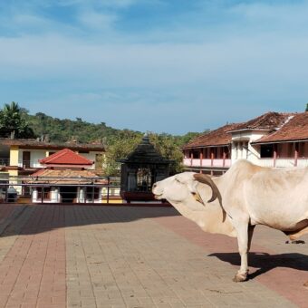 Dominique en Inde